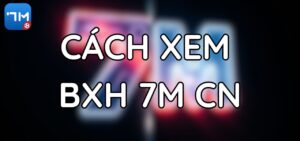 Cách Xem Bảng Xếp Hạng 7M.CN Chuẩn Nhất Cho Mọi Giải Đấu