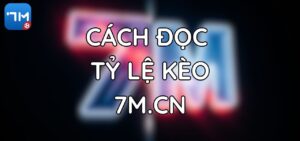 Cách Đọc Tỷ Lệ Kèo 7M.CN Macao Cho Người Mới Bắt Đầu